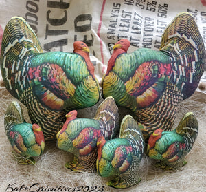 Small Turkeys