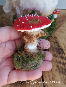 Miss Maddy Mushroom
