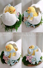Load image into Gallery viewer, Hatched Chick