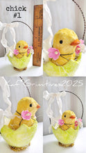 Load image into Gallery viewer, Chick #1