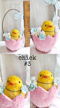 Load image into Gallery viewer, Chick #3