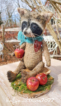 Load image into Gallery viewer, Rascal the Raccoon