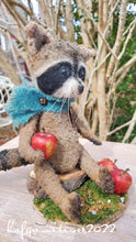 Load image into Gallery viewer, Rascal the Raccoon