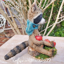 Load image into Gallery viewer, Rascal the Raccoon