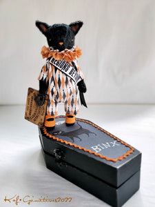 Binx - A Coffin Cutie