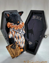 Load image into Gallery viewer, Binx - A Coffin Cutie
