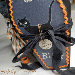 Binx - A Coffin Cutie